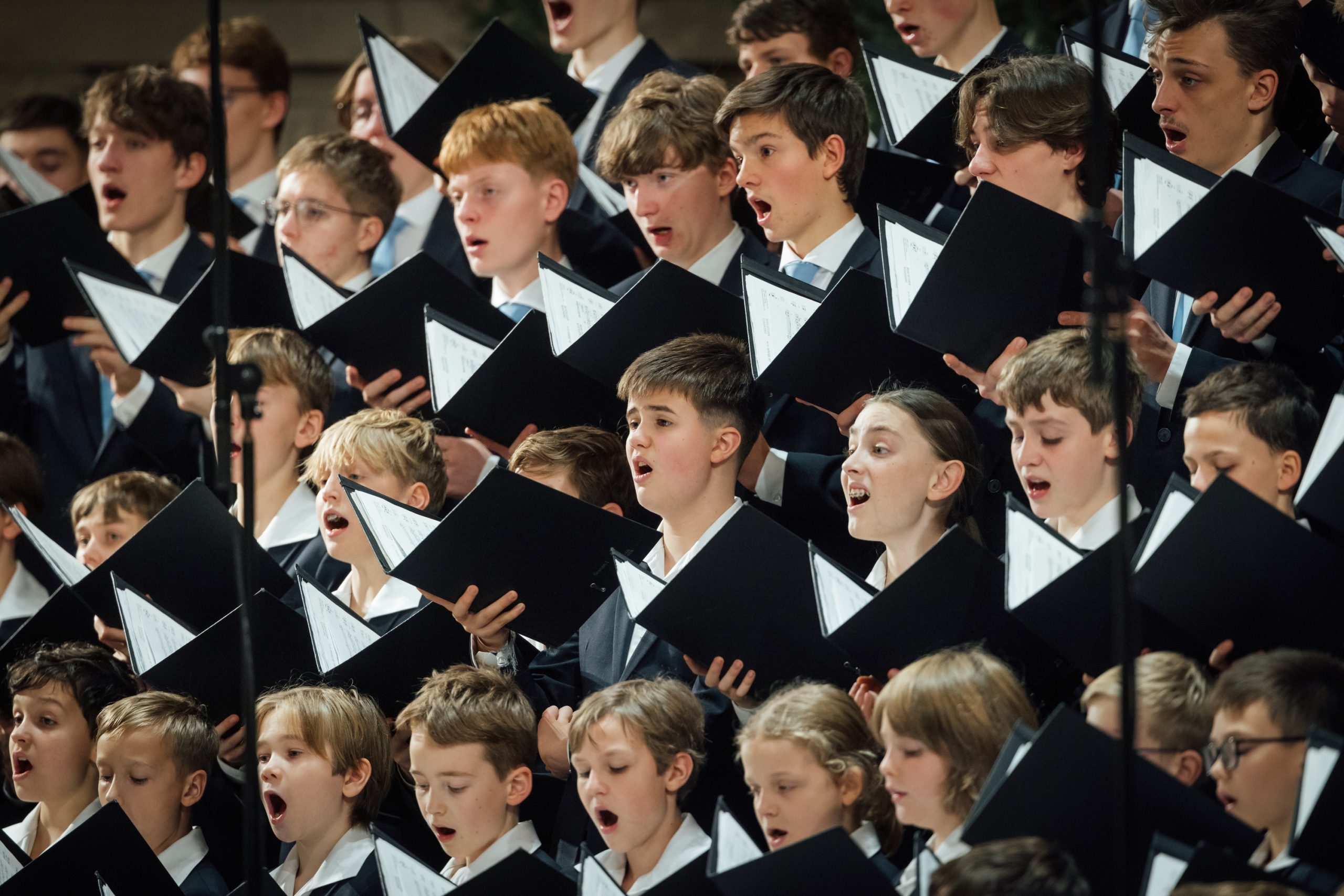 Dresdner Kreuzchor, Weihnachtsliederabend, Johannespassion, Matthäuspassion, Brahms Requiem